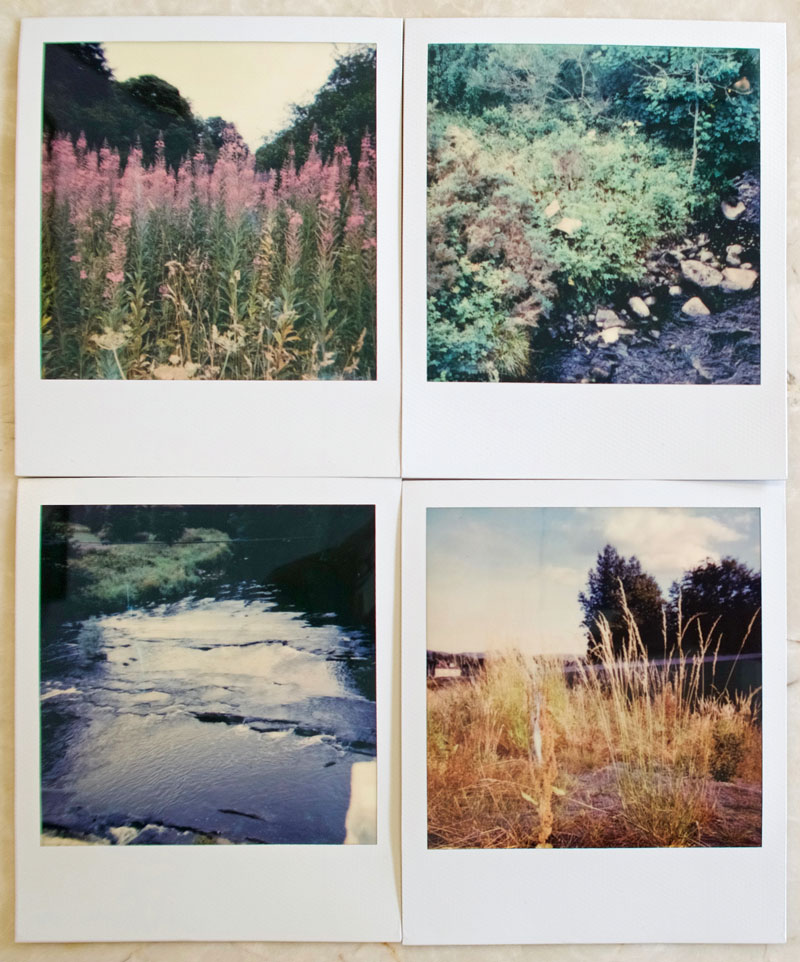 Summer Polaroids by O Dean