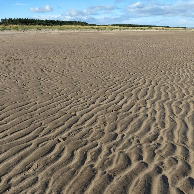 Tentsmuir beach