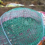 Fishing Nets 3